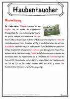 Vorschau - Unterrichtsreihen - Haubentaucher Lückentext mit Wortspeicher Hörverstehen und Suchsel - Seite 2