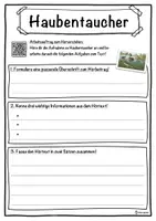 Vorschau - Unterrichtsreihen - Haubentaucher Lückentext mit Wortspeicher Hörverstehen und Suchsel - Seite 3