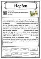 Vorschau - Unterrichtsreihen - Hopfen Lückentext mit Wortspeicher Hörverstehen und Suchsel - Seite 1