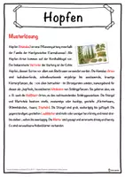 Vorschau - Unterrichtsreihen - Hopfen Lückentext mit Wortspeicher Hörverstehen und Suchsel - Seite 2