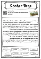 Vorschau - Unterrichtsreihen - Köcherfliege Lückentext mit Wortspeicher Hörverstehen und Suchsel - Seite 1