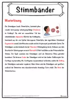 Vorschau - Unterrichtsreihen - Stimmbänder Lückentext mit Wortspeicher Hörverstehen und Suchsel - Seite 2