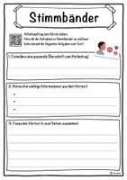 Vorschau - Unterrichtsreihen - Stimmbänder Lückentext mit Wortspeicher Hörverstehen und Suchsel - Seite 3
