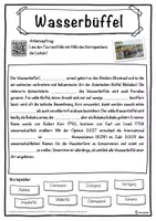 Vorschau - Unterrichtsreihen - Wasserbüffel Lückentext mit Wortspeicher Hörverstehen und Suchsel - Seite 1