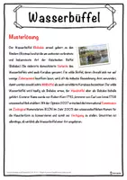 Vorschau - Unterrichtsreihen - Wasserbüffel Lückentext mit Wortspeicher Hörverstehen und Suchsel - Seite 2
