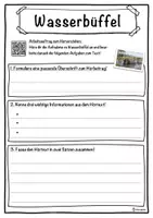 Vorschau - Unterrichtsreihen - Wasserbüffel Lückentext mit Wortspeicher Hörverstehen und Suchsel - Seite 3