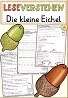 Vorschau - Arbeitsblätter - FREEBIE: Die kleine Eichel Leseverstehen Grundschule | Lesetexte Klasse 2–4 - Deckblatt