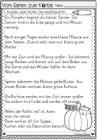 Vorschau - Arbeitsblätter - FREEBIE: Vom Samen zum Kürbis Leseverstehen Grundschule | Lesetexte Klasse 2–4 - Seite 3