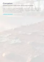 Vorschau - Unterrichtsreihen - Corrosion Chemistry | Oxygen Corrosion, Acid Corrosion & Corrosion Protection | High School Chemistry STEM Unit - Seite 1