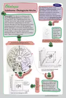Vorschau - Merkblätter - Lernsketchnote Ökologie Ökologische Nische Biochemscience - Deckblatt
