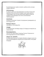 Vorschau - Stundenentwürfe - Frühlingsrätsel - Suchsel, Kreuzworträtsel, Zahlenrätsel, Frühlings-ABC - Seite 2