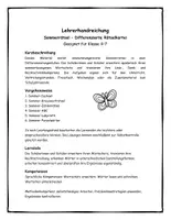 Vorschau - Stundenentwürfe - Sommerrätsel - Suchsel, Kreuzworträtsel, Zahlenrätsel, Sommer-ABC, Labyrinth - Seite 1