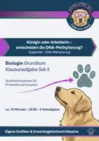 Vorschau - Klassenarbeiten - Biologie GK Klausuraufgabe Genetik (mit Erwartungshorizont) – Epigenetik der Honigbiene: DNA-Methylierung & Kastenentwicklung (NRW Q2, Abitur) - Deckblatt