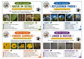Vorschau - Aufgabenkarten - Schnelle Kunststunde - Draußen MiniAktionen und Challenges - Seite 2