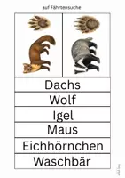 Vorschau - Arbeitsblätter - auf Fährtensuche im Wald - Seite 3