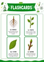 anteprima - Esercizi - Pack didattico su piante e foglie - Pagina 1