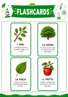 anteprima - Esercizi - Pack didattico su piante e foglie - Pagina 2