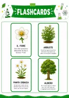 anteprima - Esercizi - Pack didattico su piante e foglie - Pagina 3