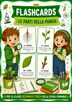 anteprima - Flashcard - Flashcards 'le parti della pianta' - Pagina di copertina