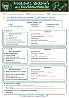 Vorschau - Arbeitsblätter - Wanyvo´s Lernspuren - Knochen und Skelett in der Forensik 2 - Seite 2