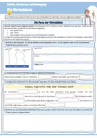 Vorschau - Arbeitsblätter - Die Wirbelsäule | Arbeitsblätter mit Lösungen und Präsentation für die Klassen 6, 7 und 8 - Seite 2