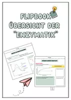 Vorschau - Arbeitsblätter - Flipbook Enzymatik - Viele Inhalte auf einen Blick - Deckblatt