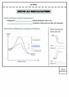 Vorschau - Arbeitsblätter - Flipbook Enzymatik - Viele Inhalte auf einen Blick - Seite 2