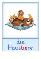 Vorschau - Bildkarten - Bildkarten: Haustiere (DaZ-Unterricht) - Seite 1