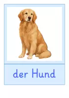 Vorschau - Bildkarten - Bildkarten: Haustiere (DaZ-Unterricht) - Seite 2