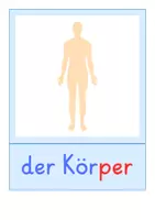 Vorschau - Bildkarten - Bildkarten: Körper (DaZ-Unterricht) - Seite 1