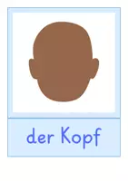 Vorschau - Bildkarten - Bildkarten: Körper (DaZ-Unterricht) - Seite 2