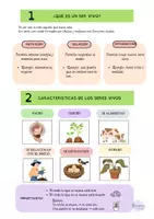 Vista previa - Unidades / Secuencias / Situaciones de Aprendizaje - La organización de los seres vivos y los cinco reinos | Ciencias Naturales | 6.º Primaria | Explicación + Actividades + Soluciones - página 1