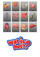 Voorbeeld - Kaartjes voor 'wie is het' spel. thema menselijk lichaam. - Pagina 1