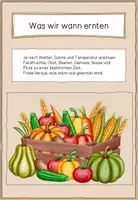 Vorschau - Arbeitsblätter - Was wir wann ernten - Obst, Gemüse & Co | Saisonkalender | Sachtexte - Seite 1