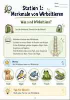 Vorschau - Stationenlernen - Wirbeltiere Escape Room - Seite 3