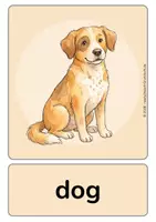Vorschau - Poster - Bildkarten PETS | Englisch Grundschule | mit & ohne Brick Words - Seite 3