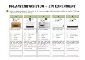 Vorschau - Arbeitsblätter - Pflanzenwachstum - ein Experiment mit Kresse - Seite 2