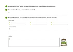 Vorschau - Arbeitsblätter - Pflanzenwachstum - ein Experiment mit Kresse - Seite 3