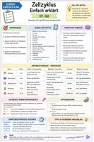 Vorschau - Stundenentwürfe - Mitose, Cycline, Krebs, Checkpoints | Zellzyklus | Biologie EF-Q2 - Seite 1