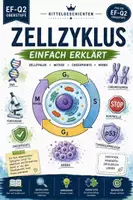 Vorschau - Stundenentwürfe - Mitose, Cycline, Krebs, Checkpoints | Zellzyklus | Biologie EF-Q2 - Seite 2