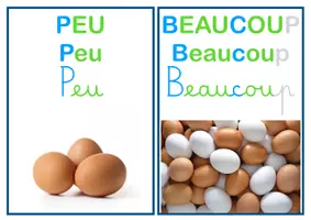 Aperçu - Cartes / Images - Cartes (PS/MS/GS) : peu / beaucoup - Page de couverture