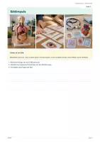 Vorschau - Arbeitsblätter - DaZ-Levelheft 11: Körper und Gesundheit - Seite 2