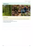 Vorschau - Arbeitsblätter - DaZ-Levelheft 29: Ökosystem Wald - Seite 2