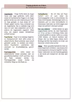 Vorschau - Arbeitsblätter - Sicherheitseinrichtungen im Chemieraum (Arbeitsblatt) - Seite 2