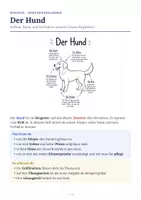 Vorschau - Arbeitsblätter - Der Hund – Aufbau und Verhalten Arbeitsheft - Seite 1