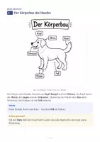 Vorschau - Arbeitsblätter - Der Hund – Aufbau und Verhalten Arbeitsheft - Seite 3