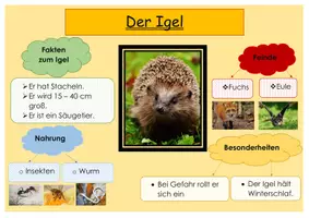Vorschau - Arbeitsblätter - Plakatgestaltung Unerrichtsverlauf und Buddy Book - Seite 1