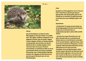 Vorschau - Arbeitsblätter - Plakatgestaltung Unerrichtsverlauf und Buddy Book - Seite 2