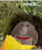 Vorschau - Videos - Kevin & Mia: Den Himmel gibt's echt Video Leben nach dem Tod - Deckblatt