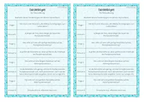 Vorschau - Arbeitsblätter - Tandembögen - Die Reizcodierung - Seite 1